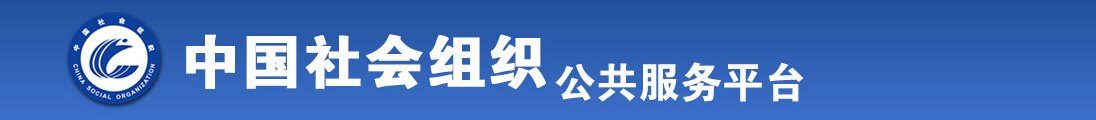 JJ插逼逼视频全国社会组织信息查询